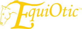 Logo-Equiotic