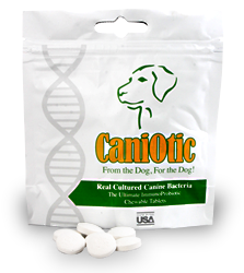 new-bag-w-pills